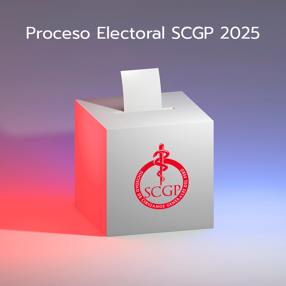 Elecciones 2025