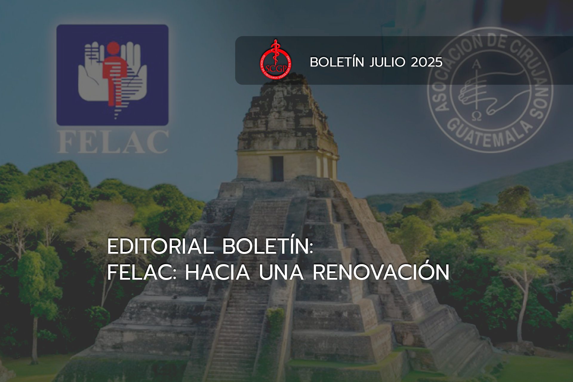 portada boletin JULIO 25